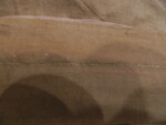 William C. Bradley's pants
