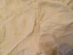 William C. Bradley's pants
