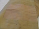 William C. Bradley's pants